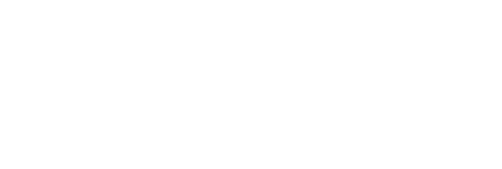DSJ logo