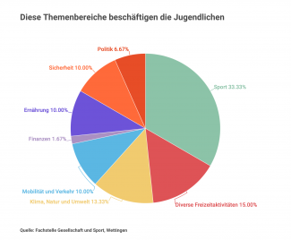 Infografik eingereichte Anliegen Wettingen