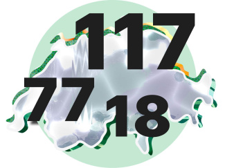 Anzahl Anliegen pro Sprachregion auf Umriss der Schweiz (77 FR, 117 DE, 18 IT)