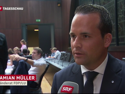 Medien Beitrag SRF Tagesschau VDS 17