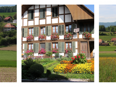 drei Bilder von Buchegg